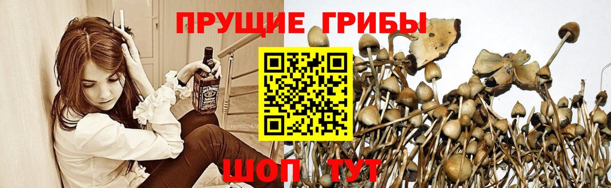 Псилоцибиновые грибы MAGIC MUSHROOMS Абакан