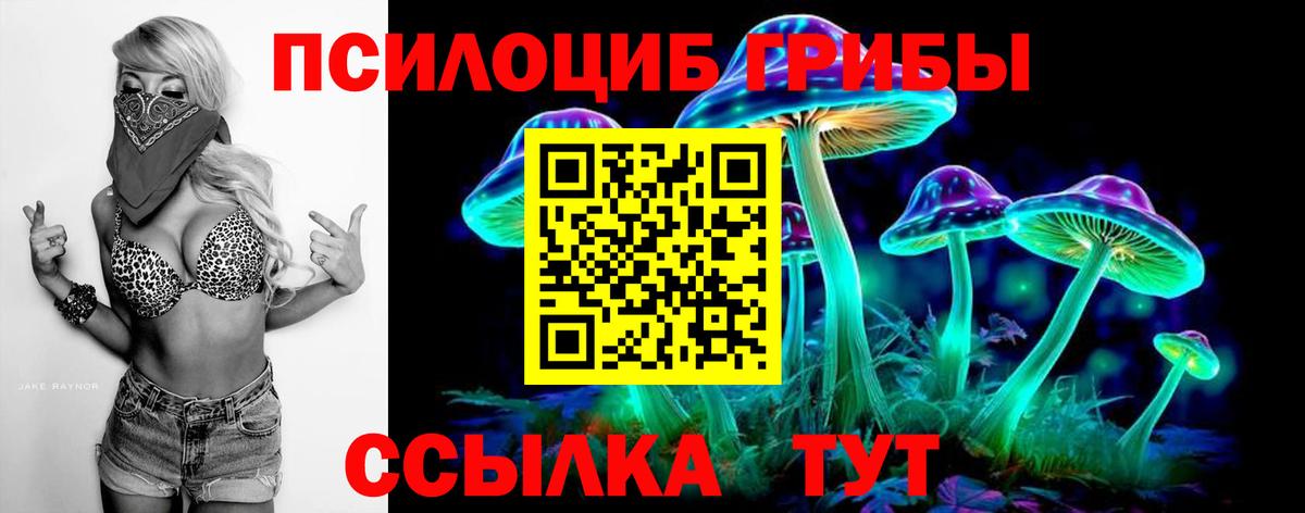 Абакан  Галлюциногенные грибы прущие грибы  продажа наркотиков  Вход с VPN 